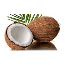 Coconut Extra 10ml The Flavor Apprentice